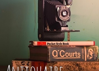 Auto-entrepreneur et antiquaire ?