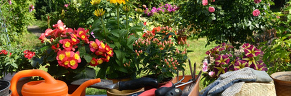 Comment devenir technicien paysagiste