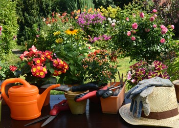 Peut-on devenir auto-entrepreneur et jardinier/paysagiste ?