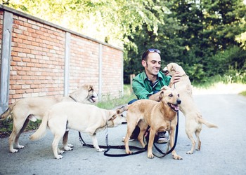 Devenir Pet sitter auto-entrepreneur