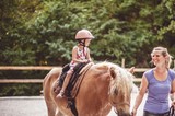 moniteur équitation indépendant