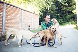 /media/CACHE/images/knowledgebase/pet-sitter-auto-entrepreneur/12db9f95f5a45426f91195dcad5a49bd.jpg