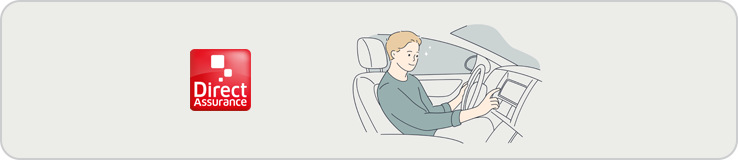Direct assurances assurance auto professionnel