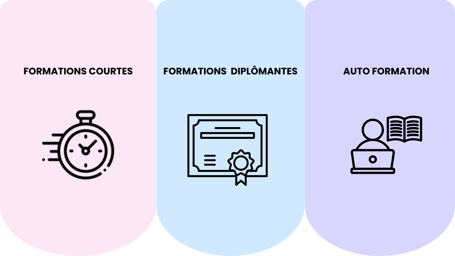 types de formations wordpress