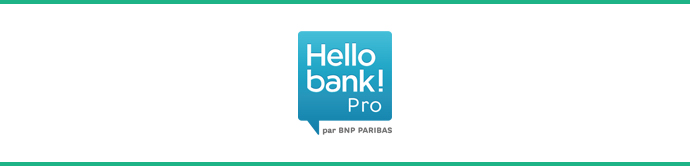 Hello bank! Pro logo